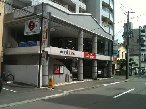 ブルヘアー